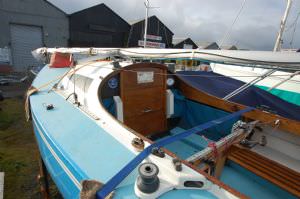 Harlequin 21